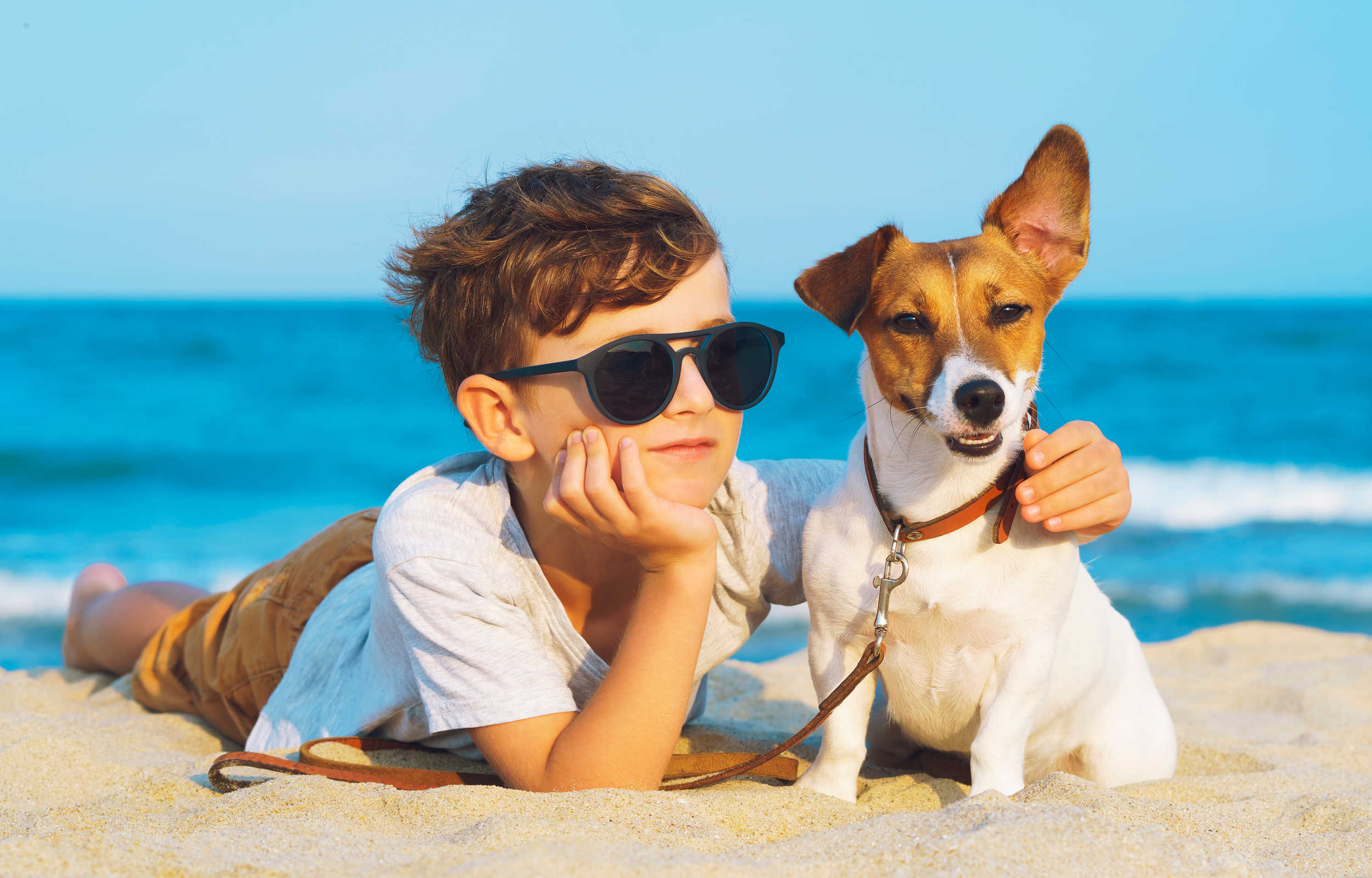 vacanza cane bambino vacanza cane bambino