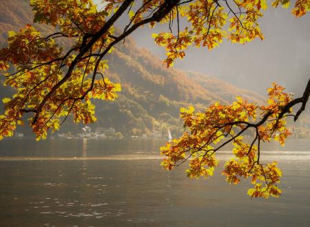 Autunno lago di Garda Autunno lago di Garda